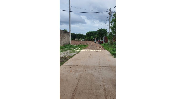 Cho thuê kho nhà xưởng Công Nghệ mới( 1A) Tân Vĩnh Lộc( Vĩnh Lộc B) 1200m2 Điện 3fa 15tr